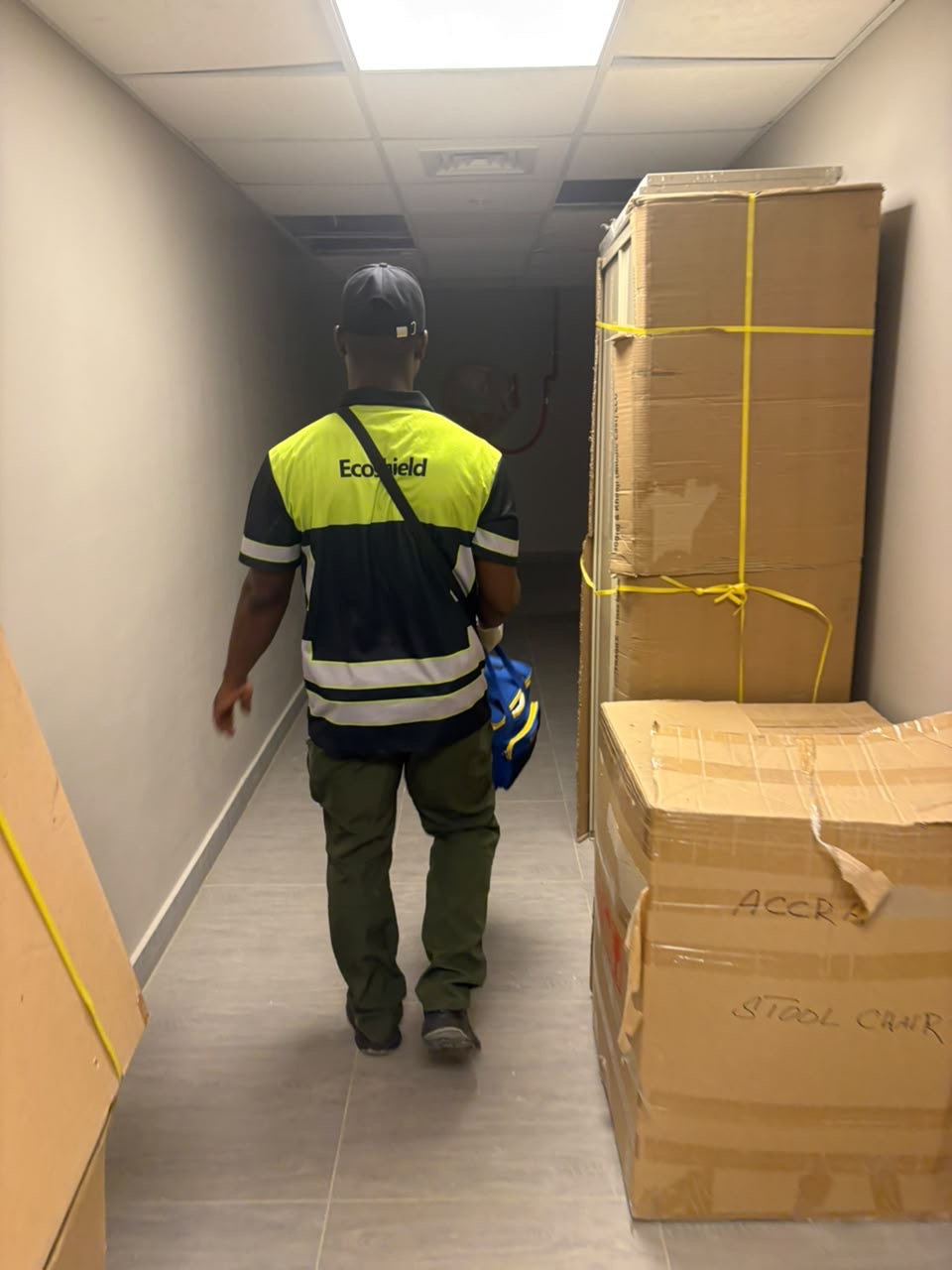 Professional pest control services